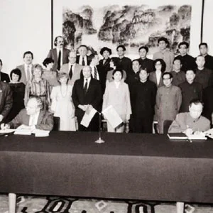 BAW 212 Hərbi Keçmişi